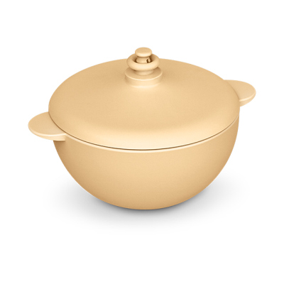 MICRO CASSEROLE