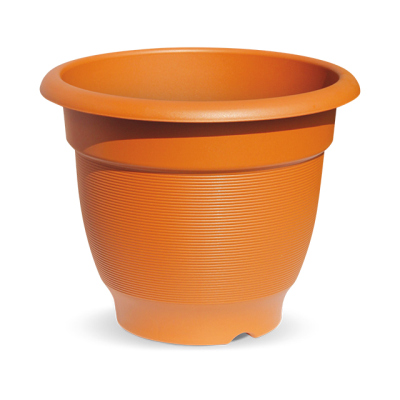 BLOSSOM MATE POT